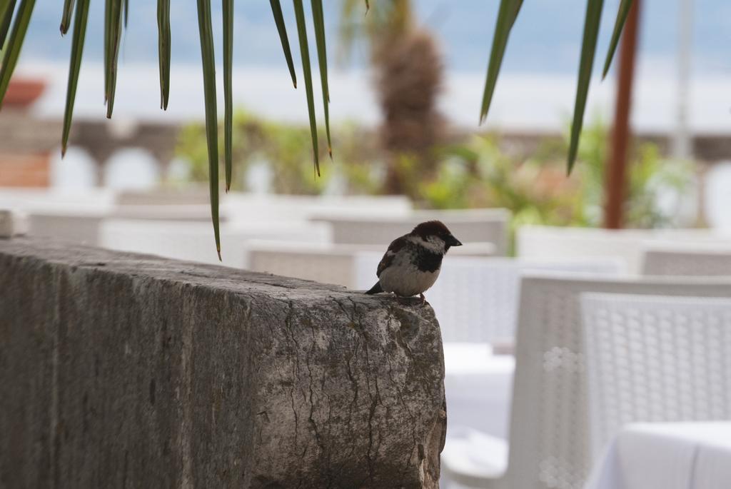 سيرمِيوني Villa Pioppi Hotel المظهر الخارجي الصورة